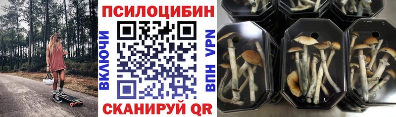 нарко площадка как зайти  Новосокольники  Галлюциногенные грибы мухоморы  где найти наркотики  гидра сайт 